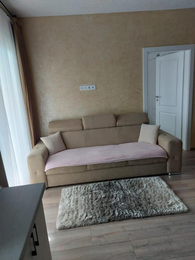 Timea'S House Διαμέρισμα Bistriţa Εξωτερικό φωτογραφία