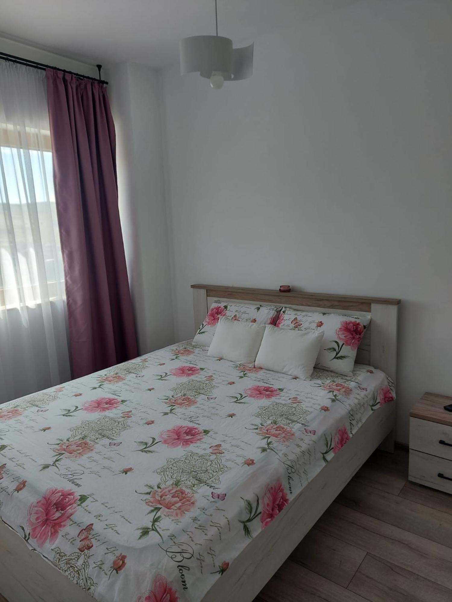 Timea'S House Διαμέρισμα Bistriţa Εξωτερικό φωτογραφία